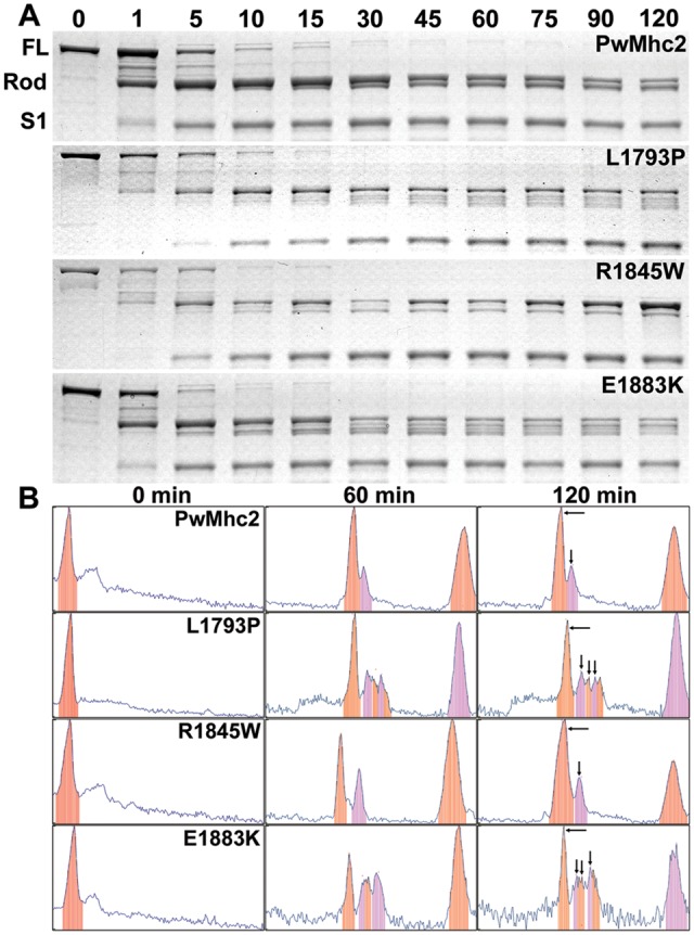 Figure 6.