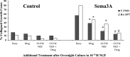 Fig. 11.