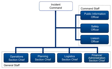 Figure 11.6