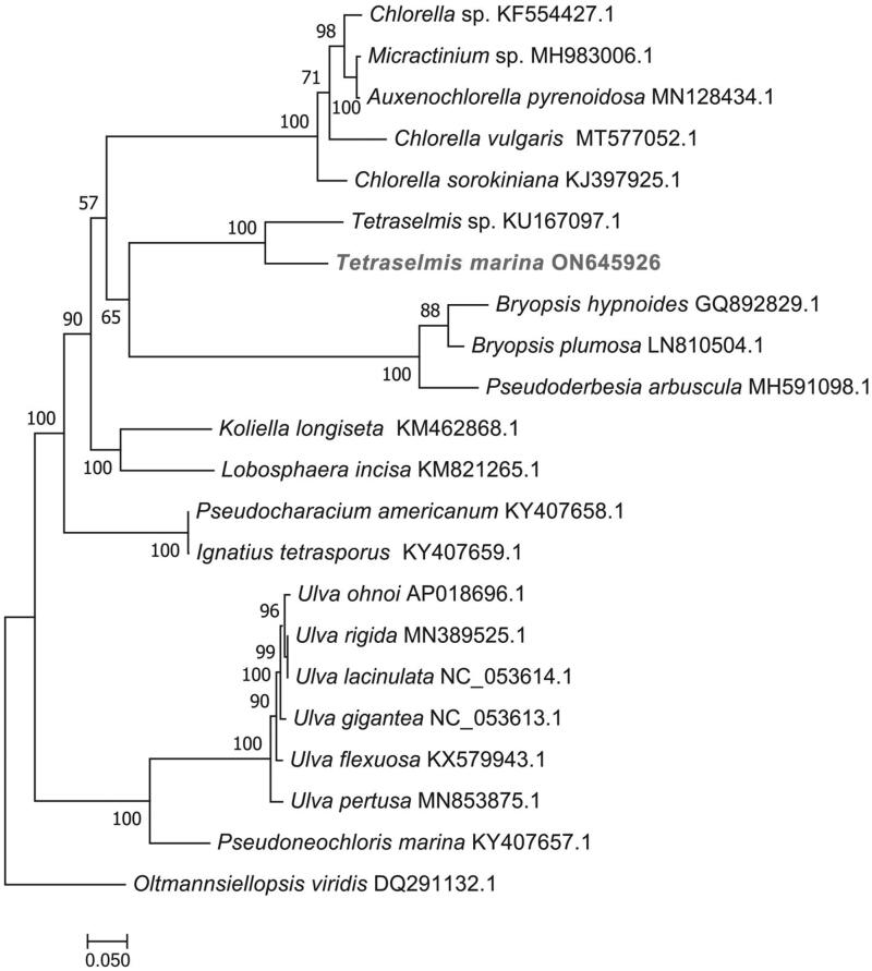 Figure 3.