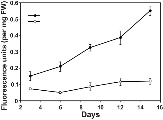 Fig. 7.