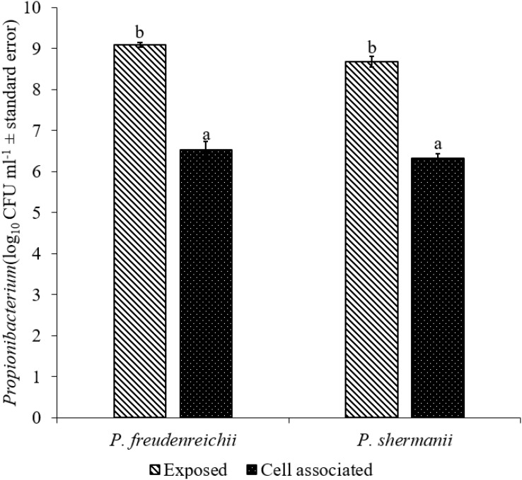 FIGURE 3