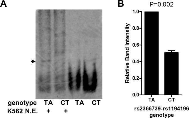 Fig 5