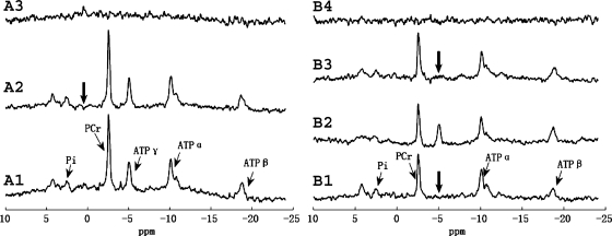 Fig. A2.