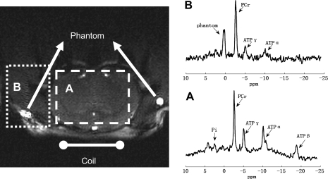 Fig. A1.