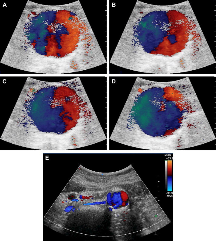 Fig. 8