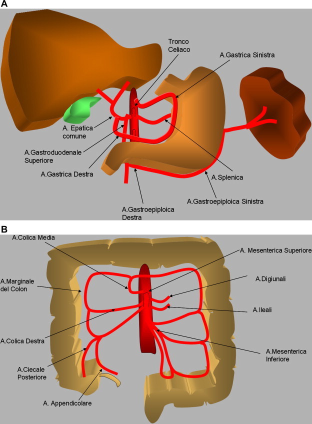 Fig. 1