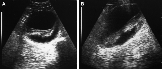 Fig. 10