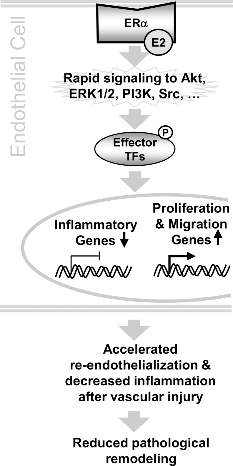 Fig 8