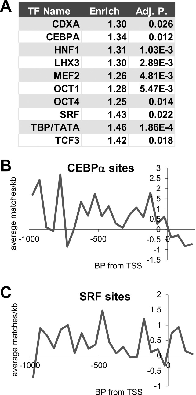 Fig 5