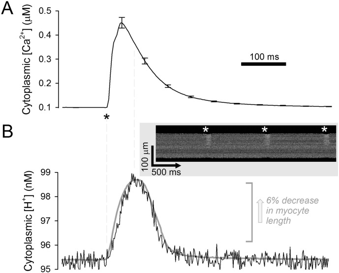 Fig. 1