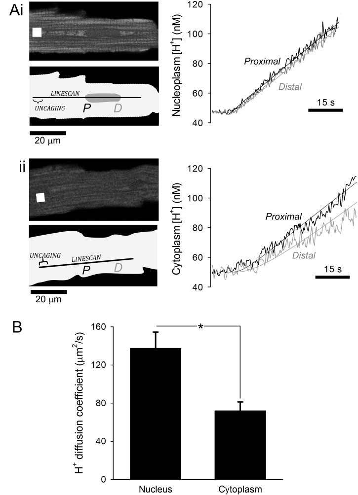 Fig. 6