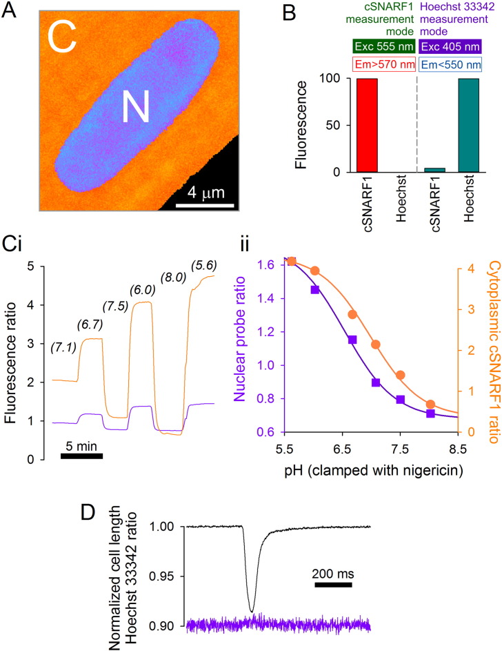 Fig. 2