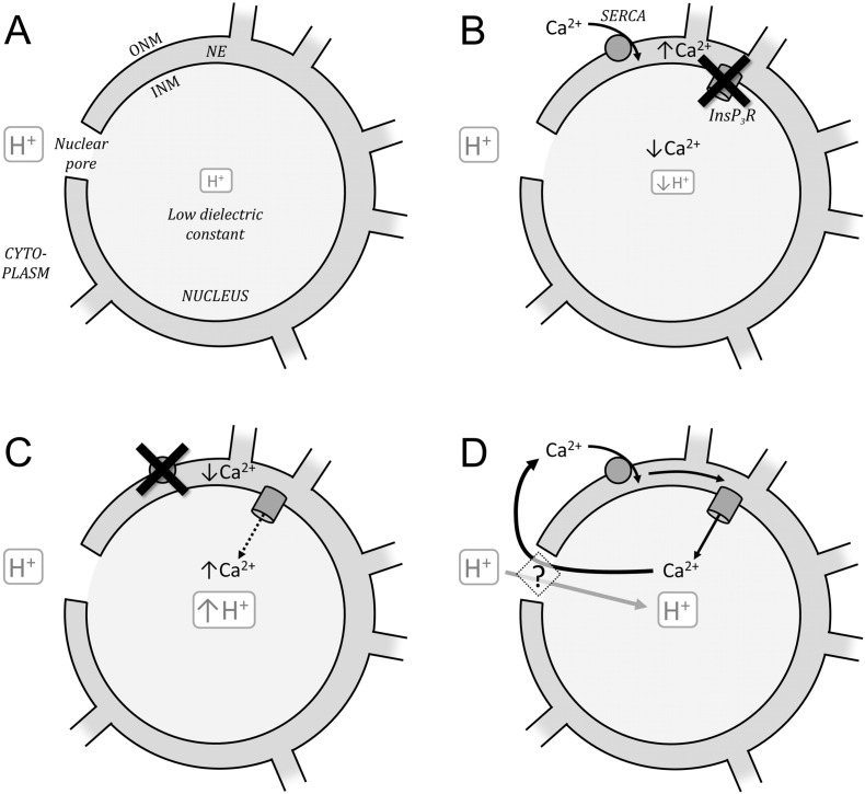 Fig. 8