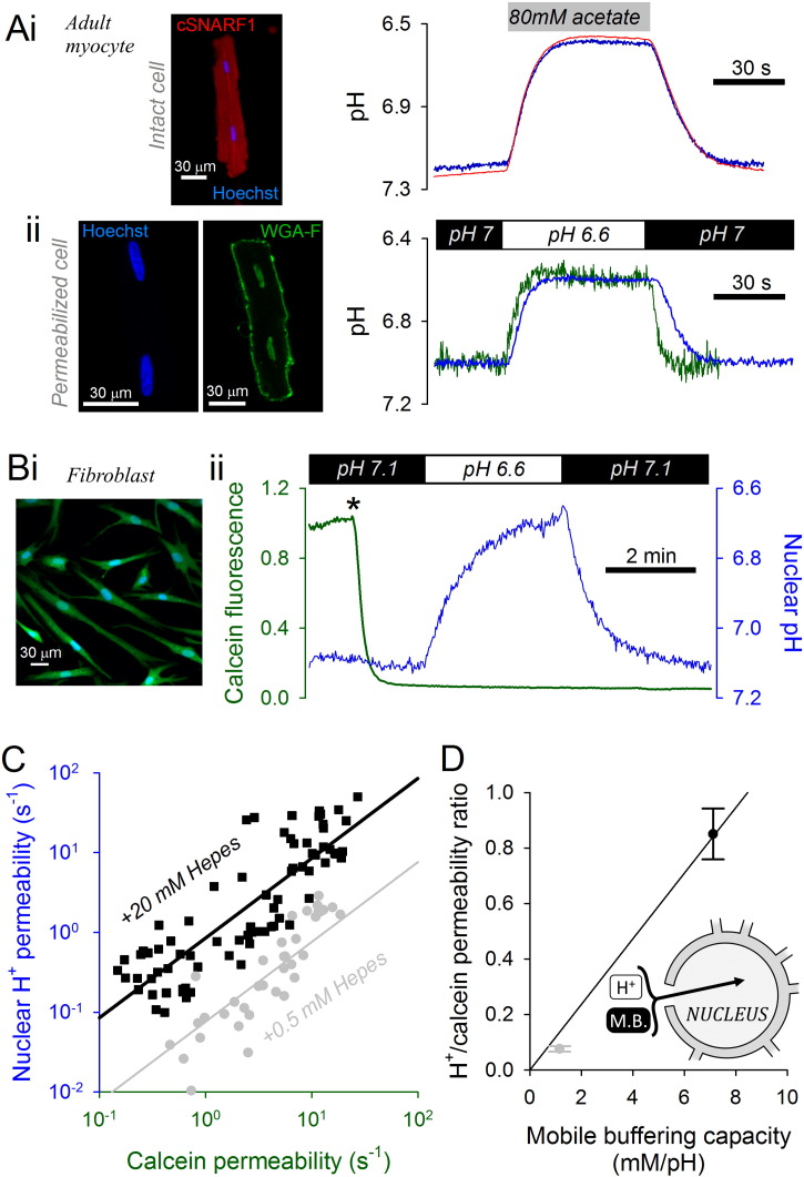 Fig. 4