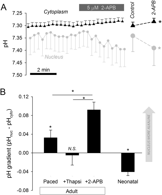 Fig. 7