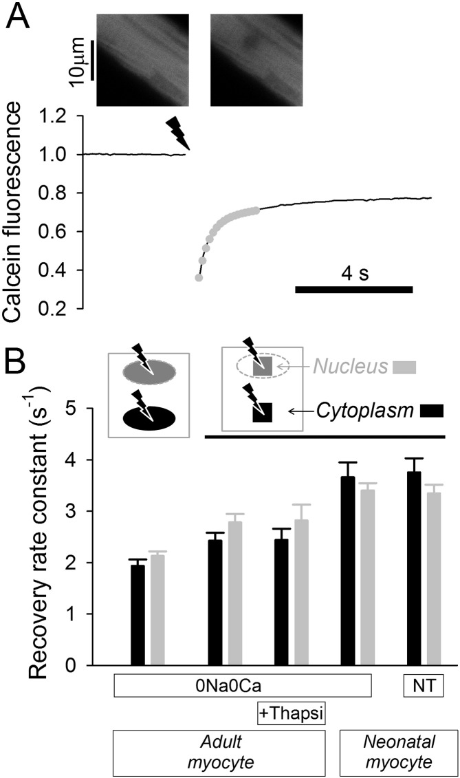 Fig. 3