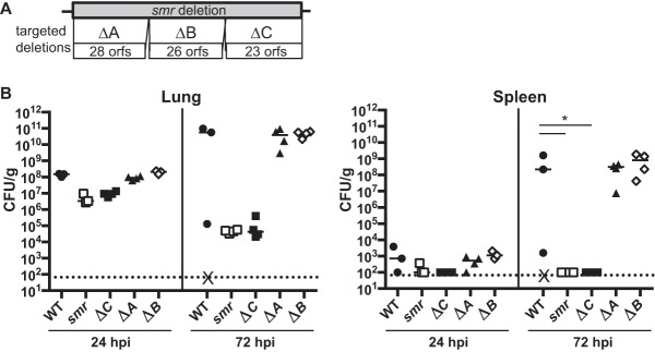 FIG 3 