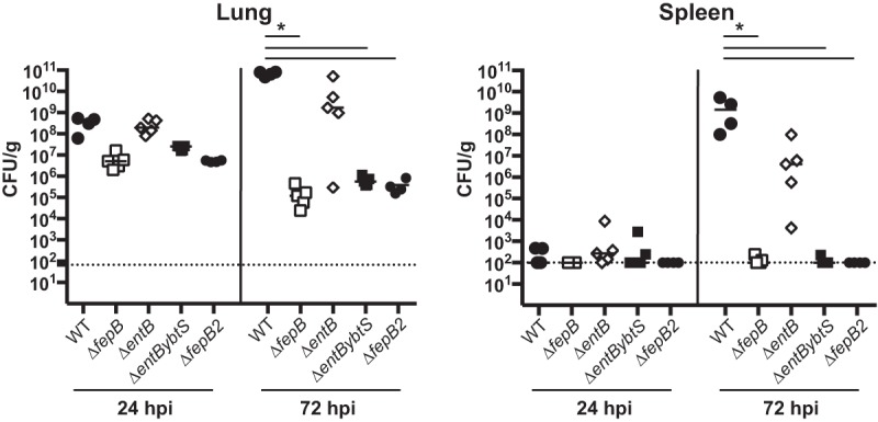 FIG 5 