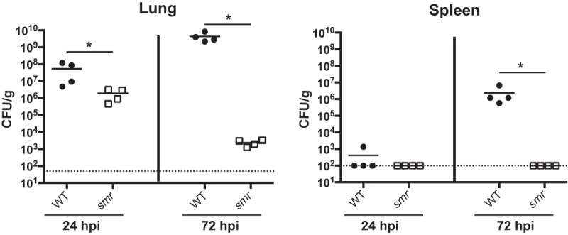 FIG 1 