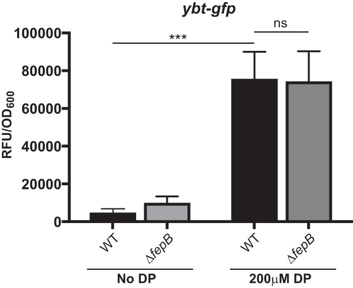 FIG 6 