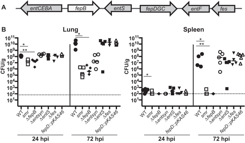 FIG 4 