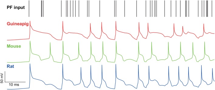 Figure 6