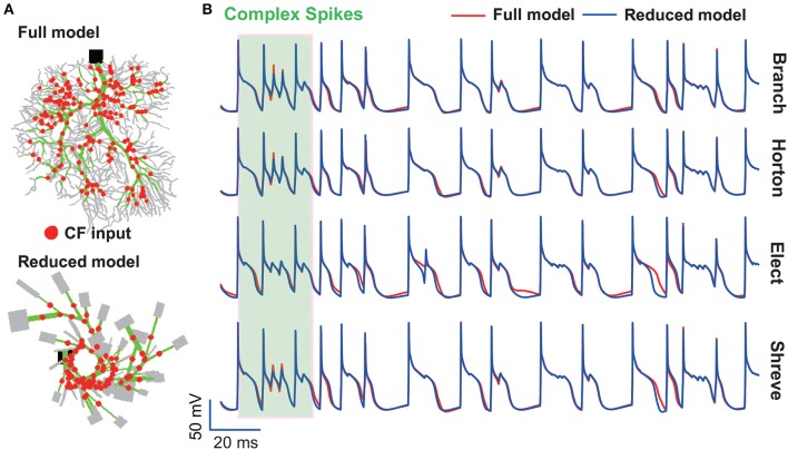 Figure 11