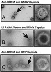 FIG. 8