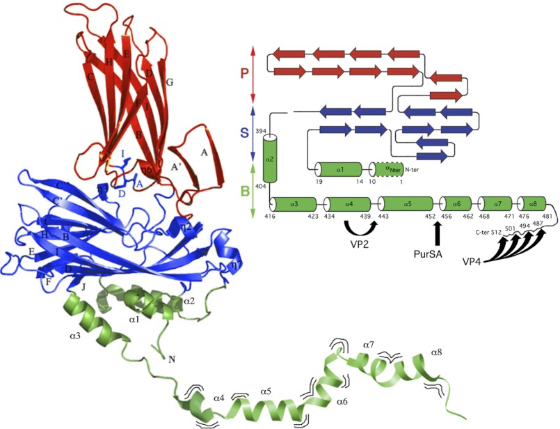 FIGURE 1.