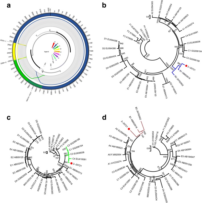 Fig. 1