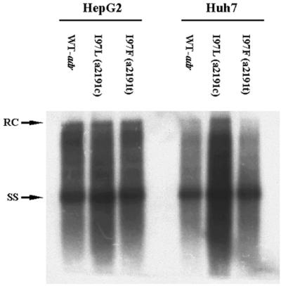 FIG. 5.