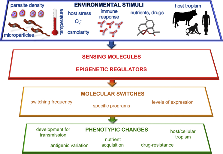 Figure 4