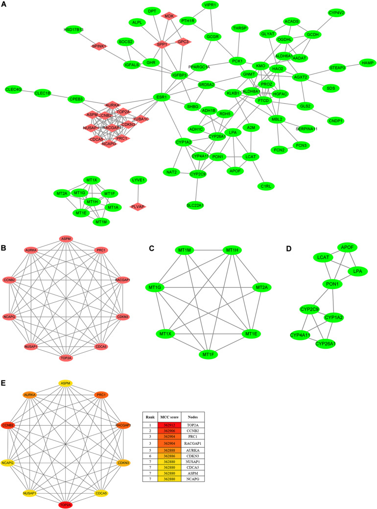 FIGURE 3