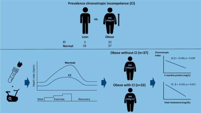 Image, graphical abstract