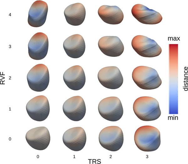 Fig. 6: