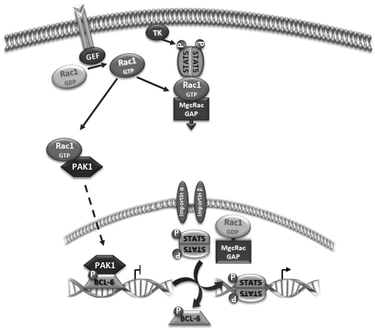 Figure 7.