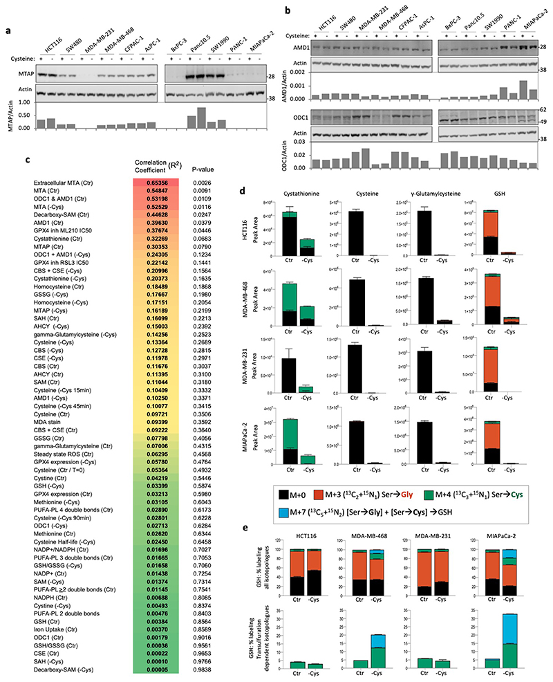 Extended Data Fig. 3