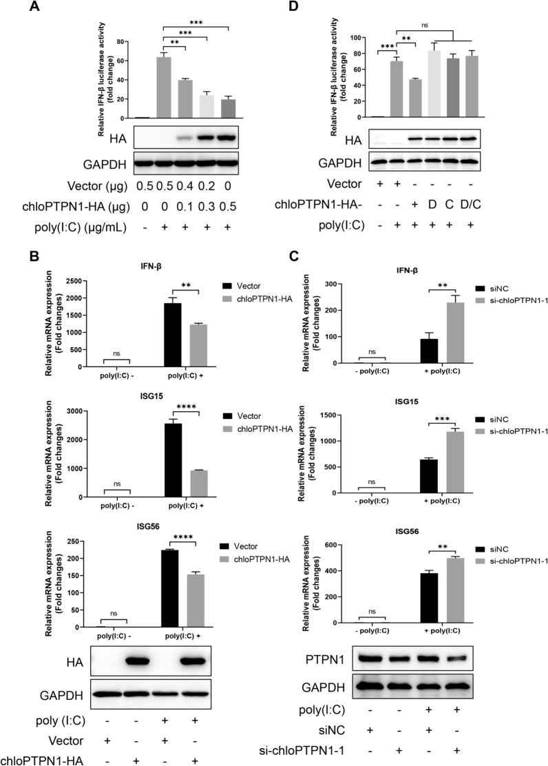 Figure 6