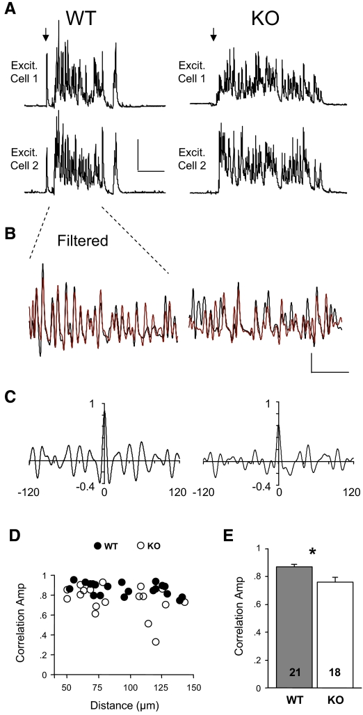 FIG. 8.