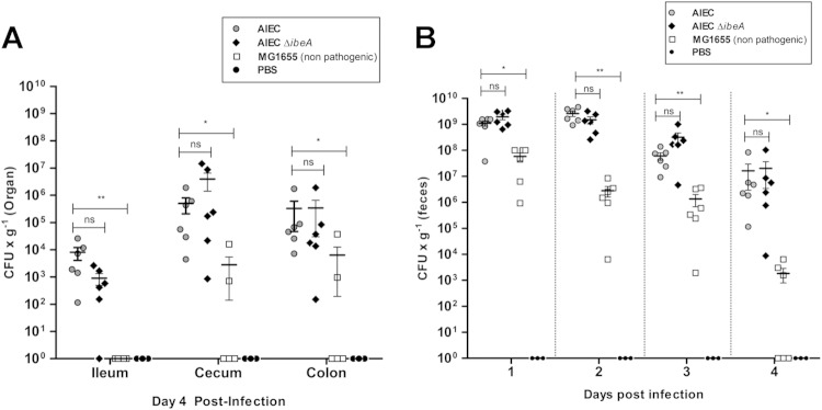 FIG 6