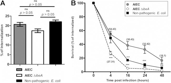 FIG 5