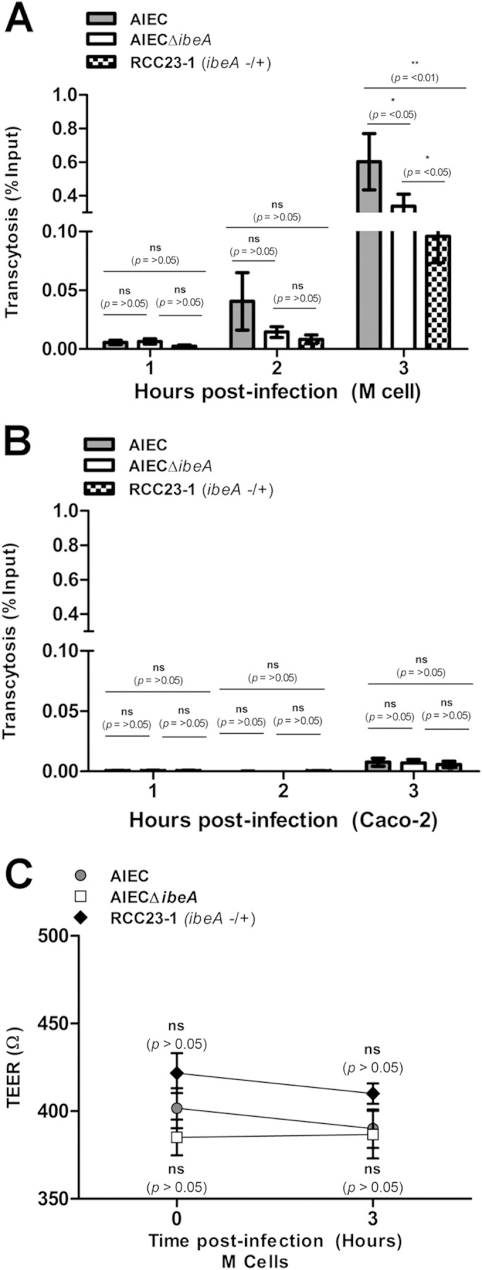 FIG 4