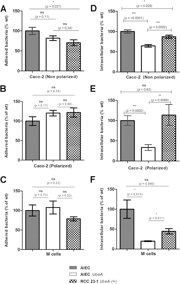 FIG 2