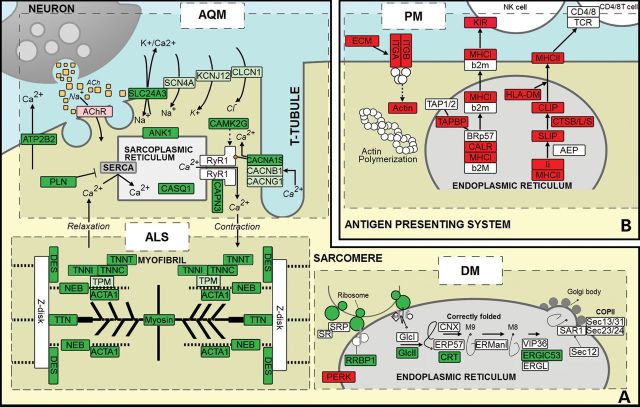 Figure 1.