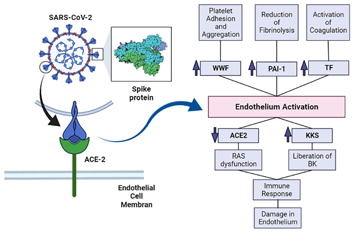 Figure 1