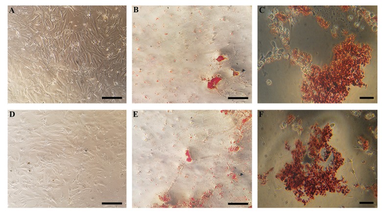 Fig.1