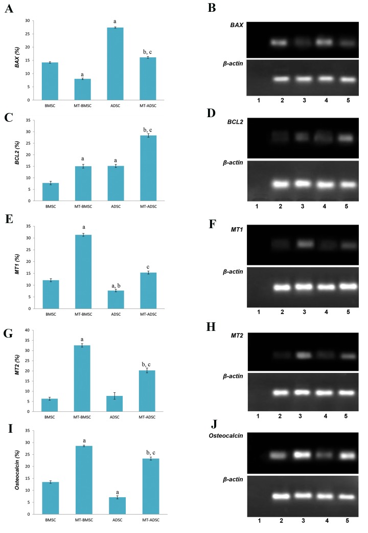 Fig.3