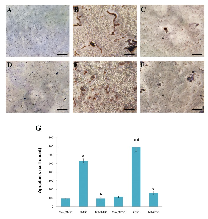 Fig.4