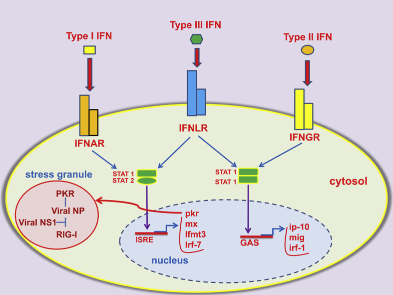 Fig. 2